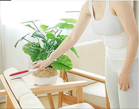PET HAIR REMOVER BRUSH